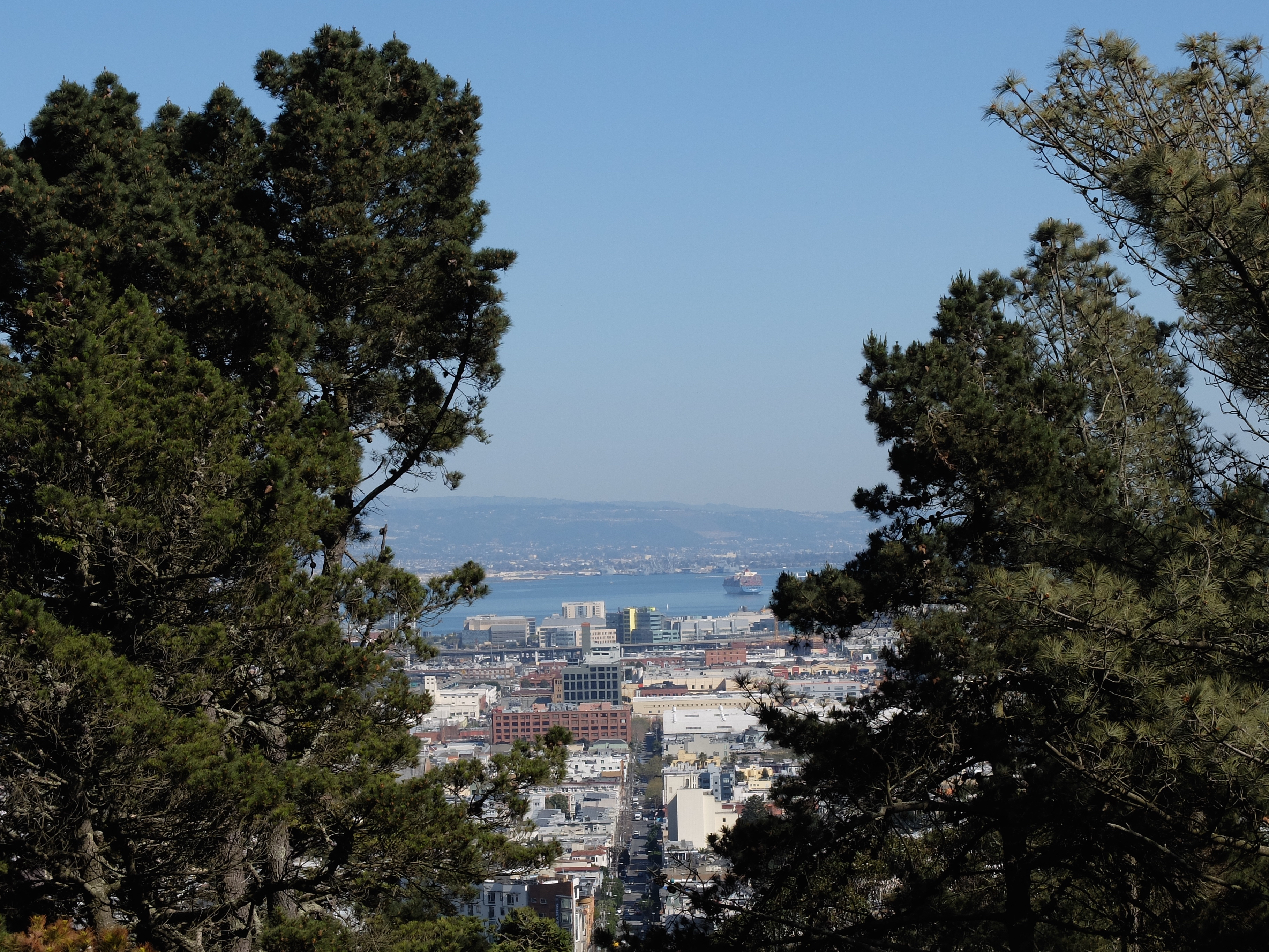 Corona Heights view street bay