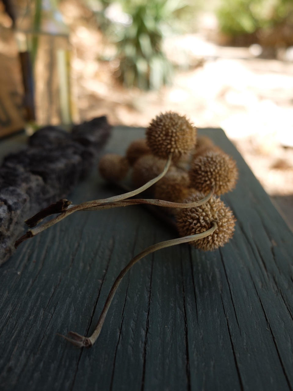 Gatehouse decor sycamore balls