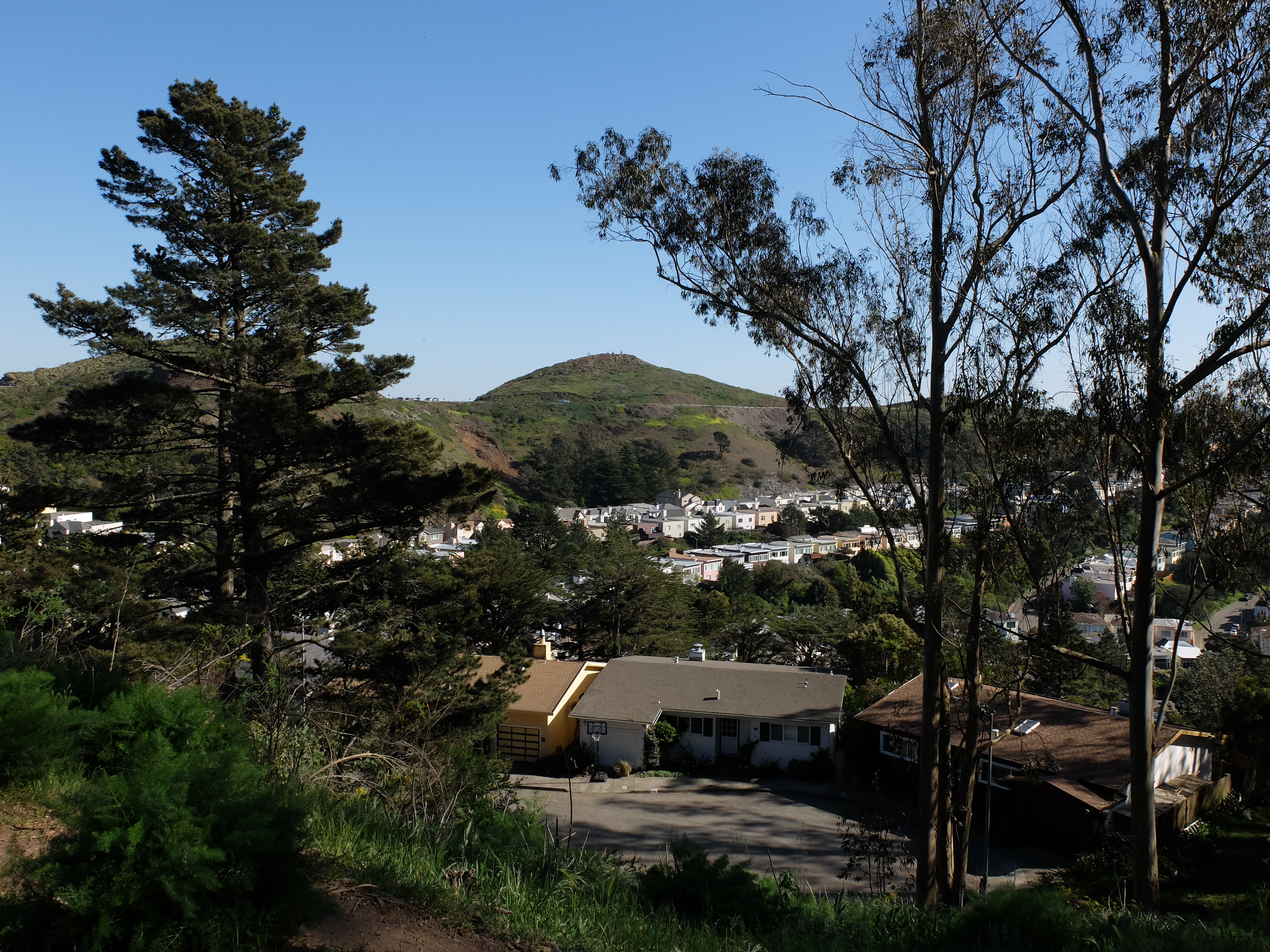 Twin Peaks and houses