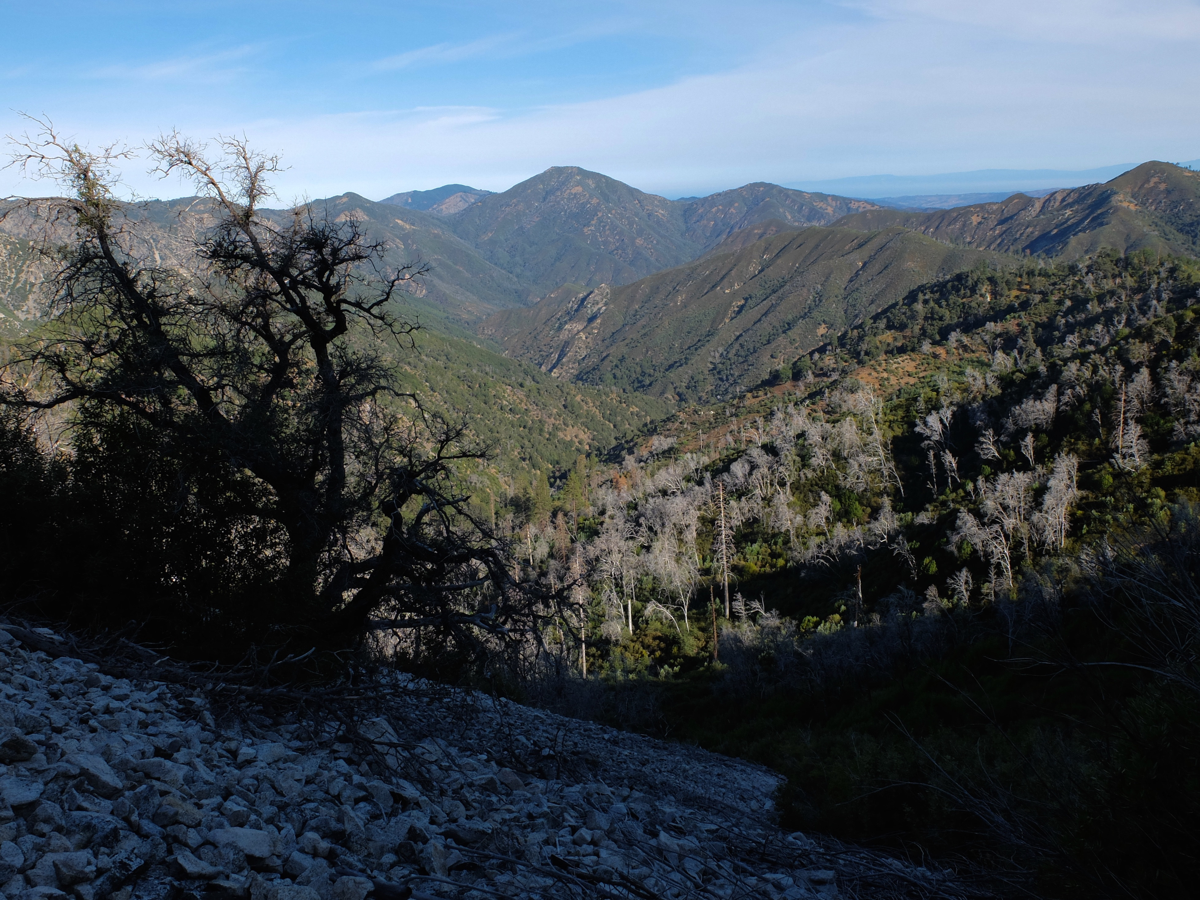Black cone hike - Pine Ridge west rock field 3.jpg