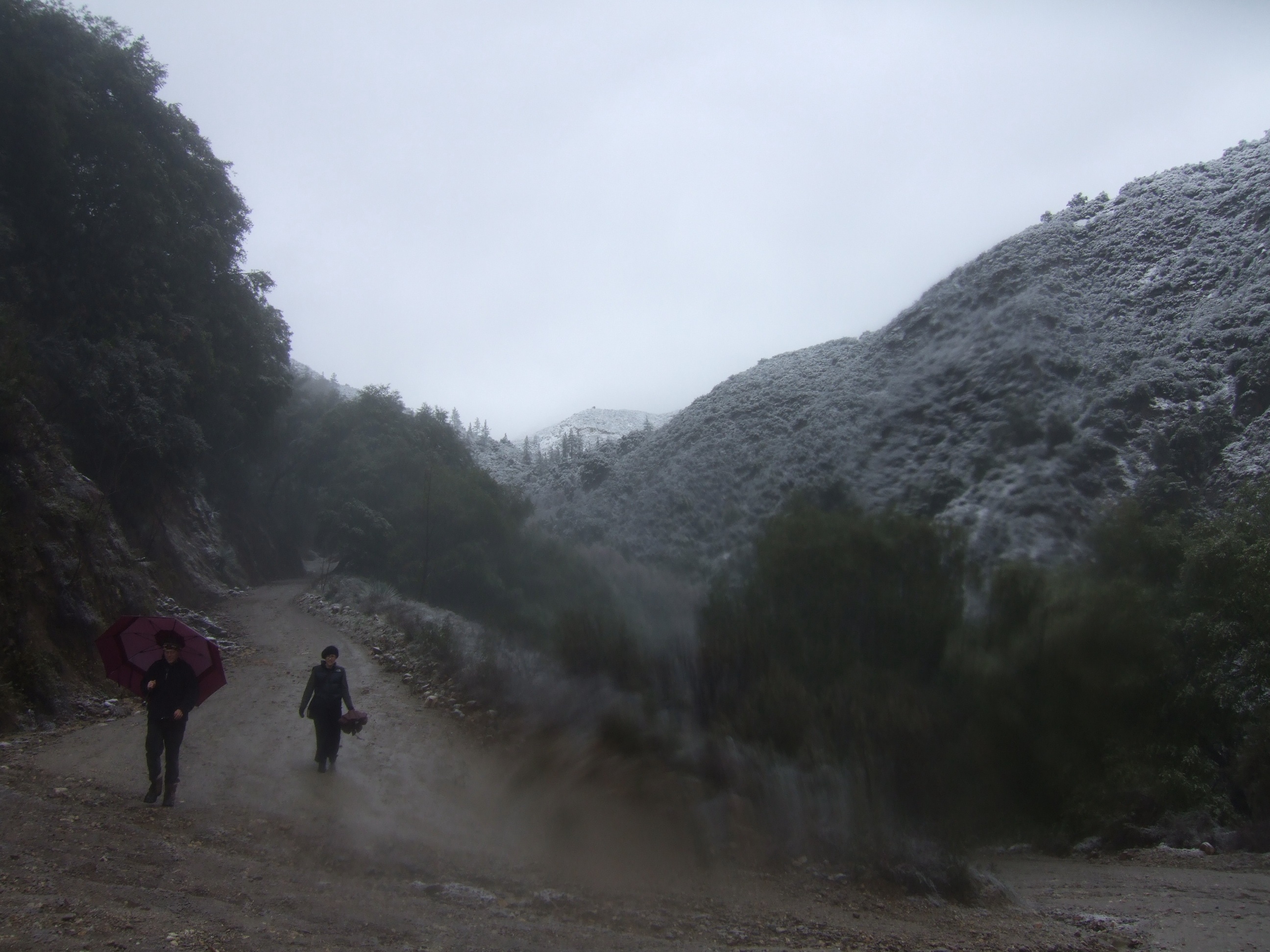 Snowy day Coady and Marianne
