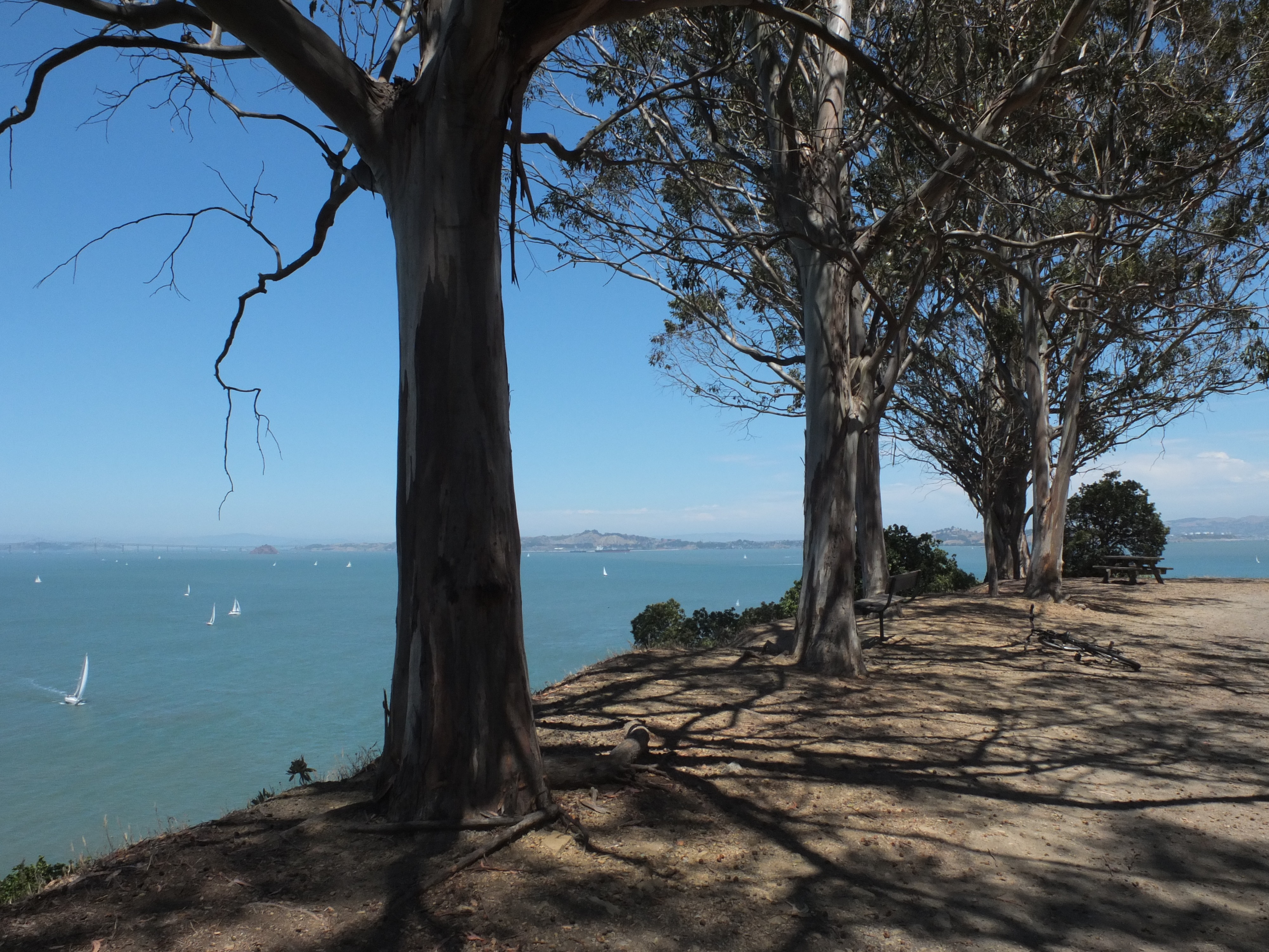 Angel Island - view with trees