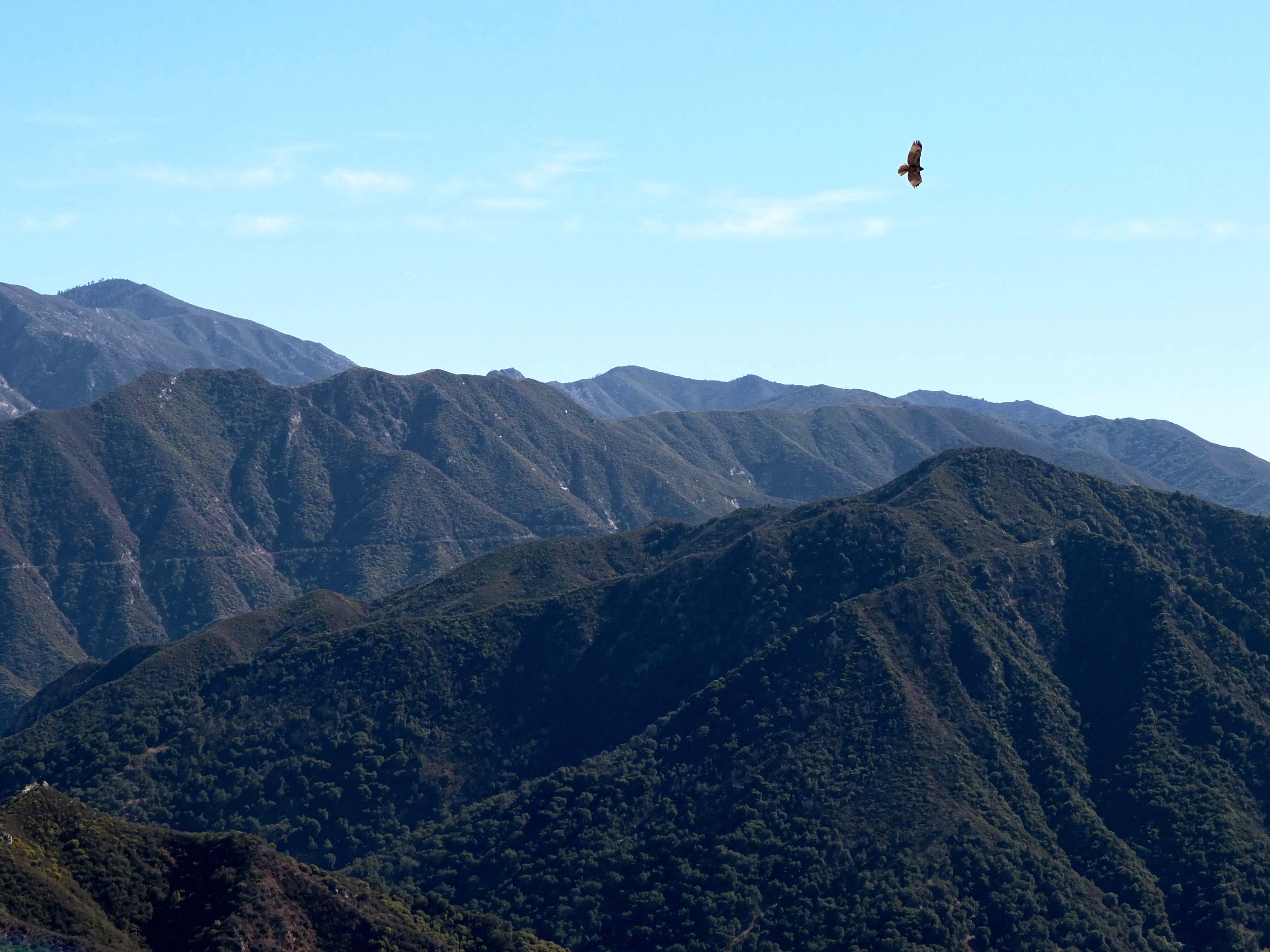 Flag Rock hike - hawk 2015 version copy