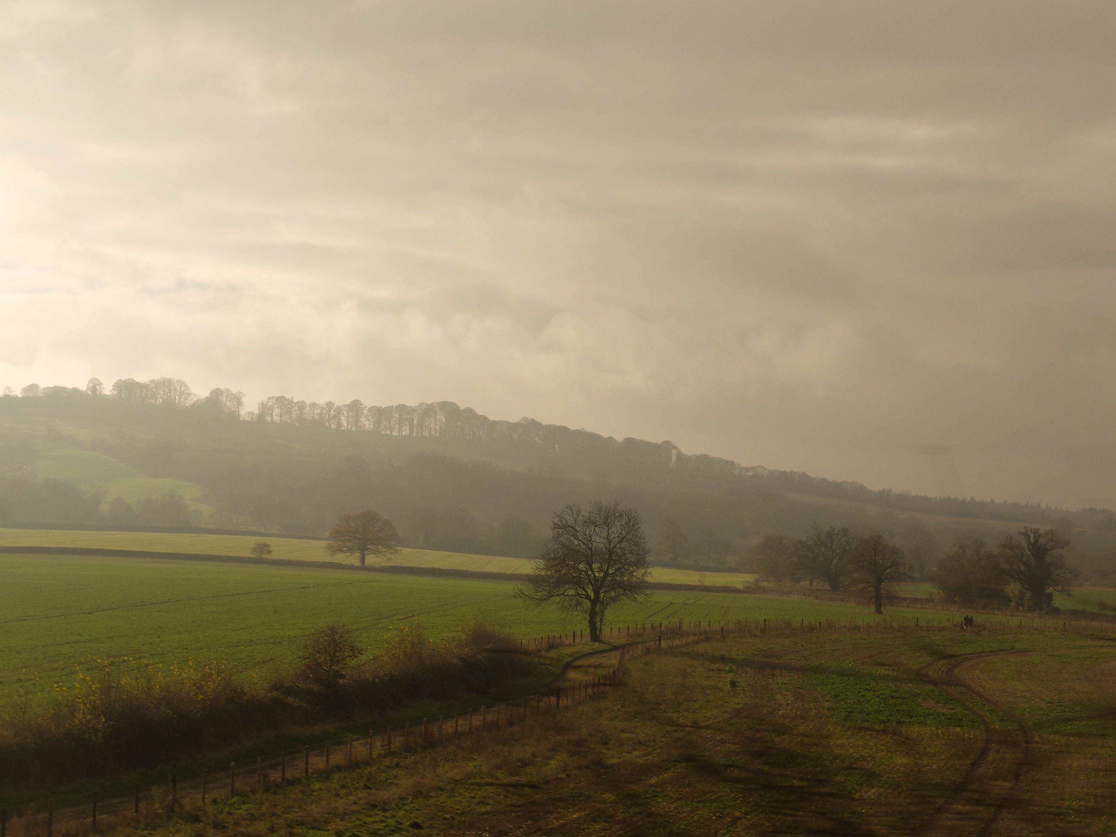 from-the-train-11-copy