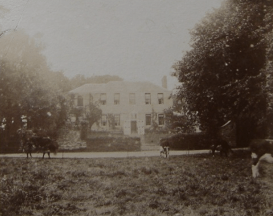 screen-shot-2016-10-14-at-08-58-08