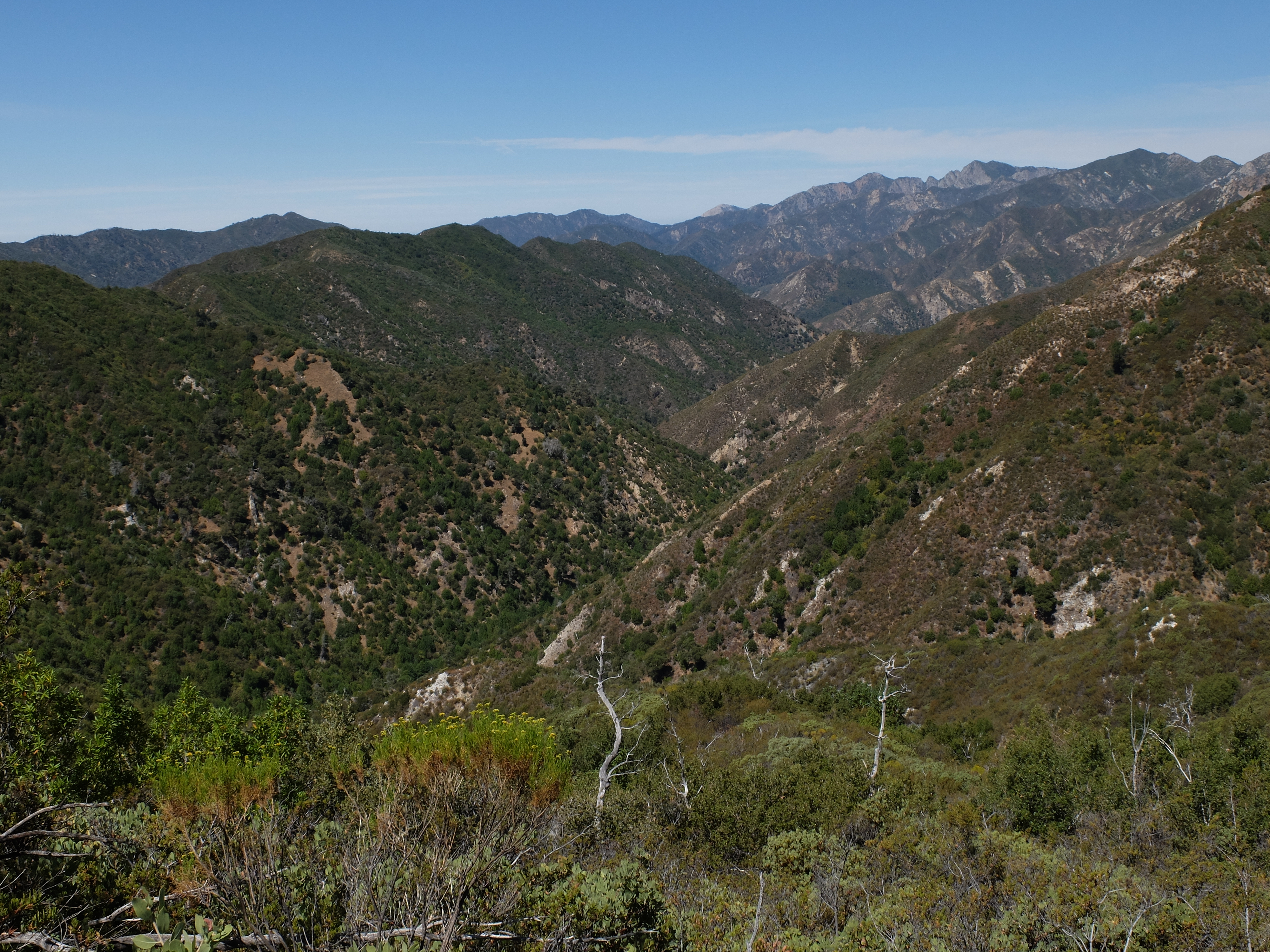 Black cone hike - Black Cone final section Big Sur river valley 2.jpg