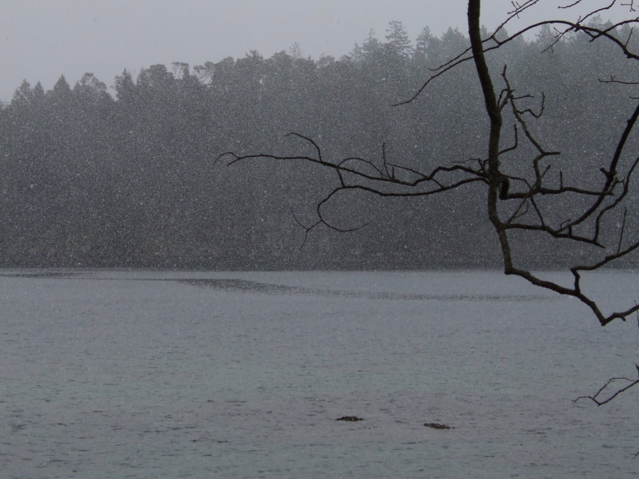 degnen-bay-snowfall-1