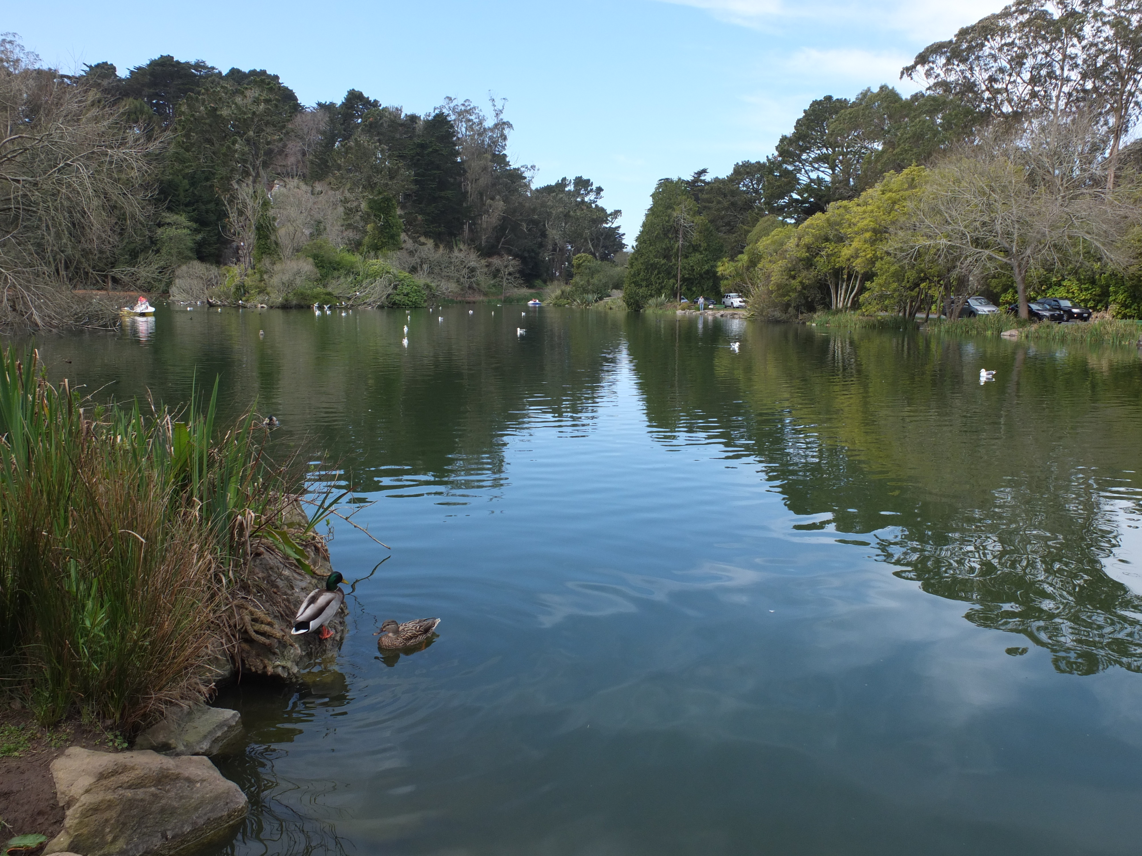 Stow Lake .jpg