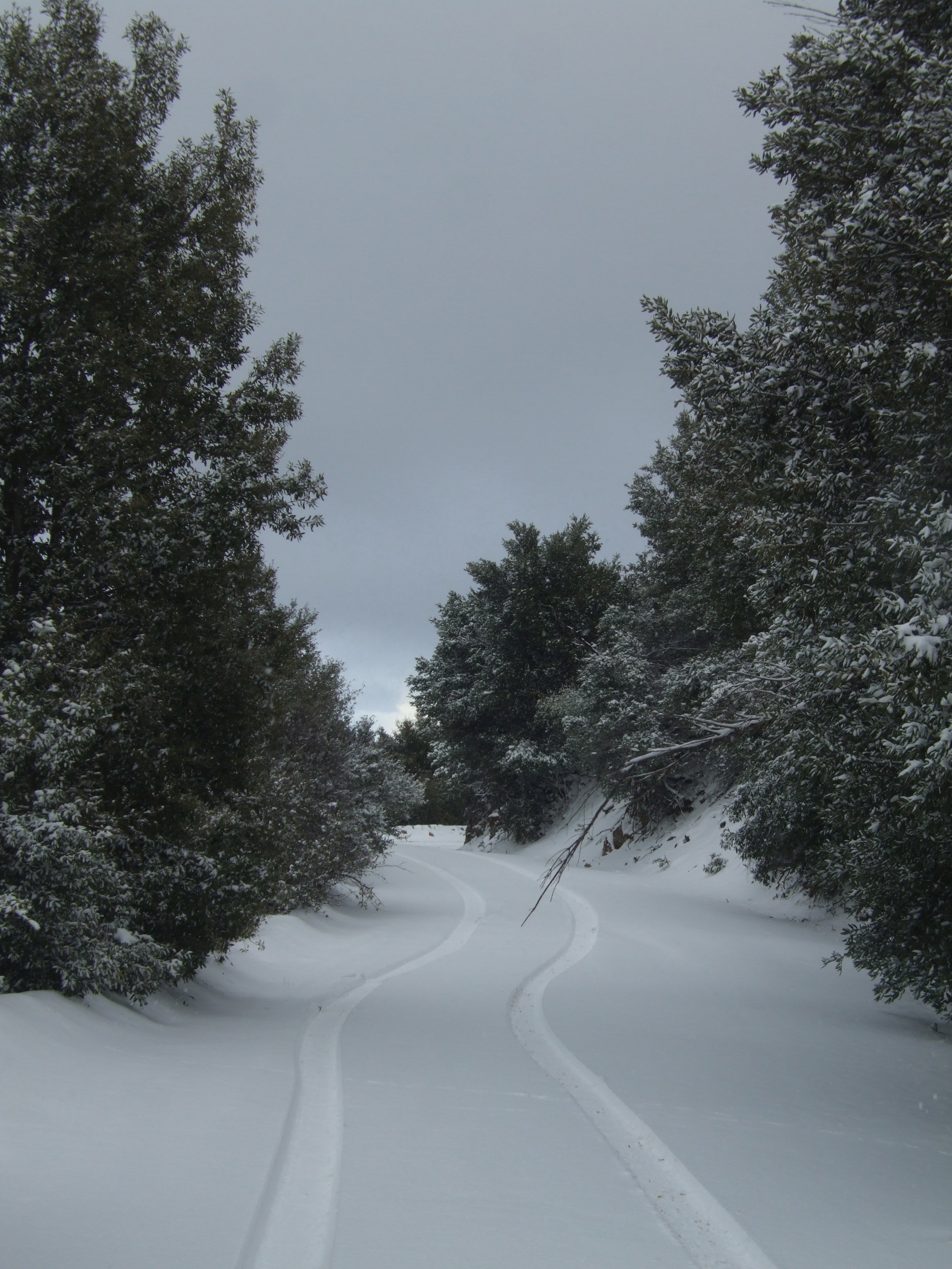 The ridge with snow.jpg