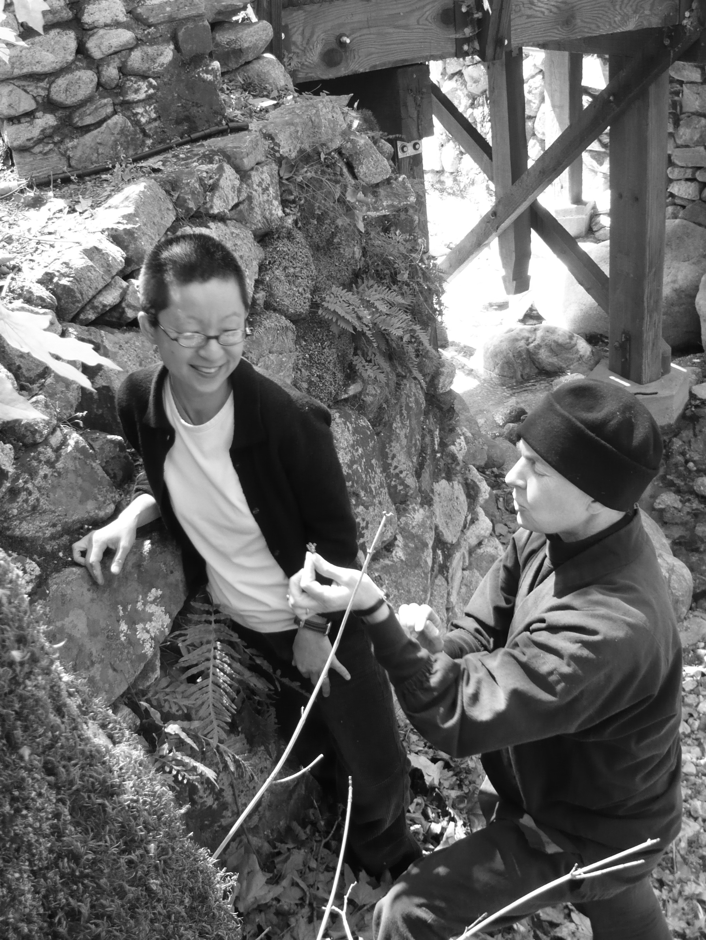 Yuki's botany lesson 