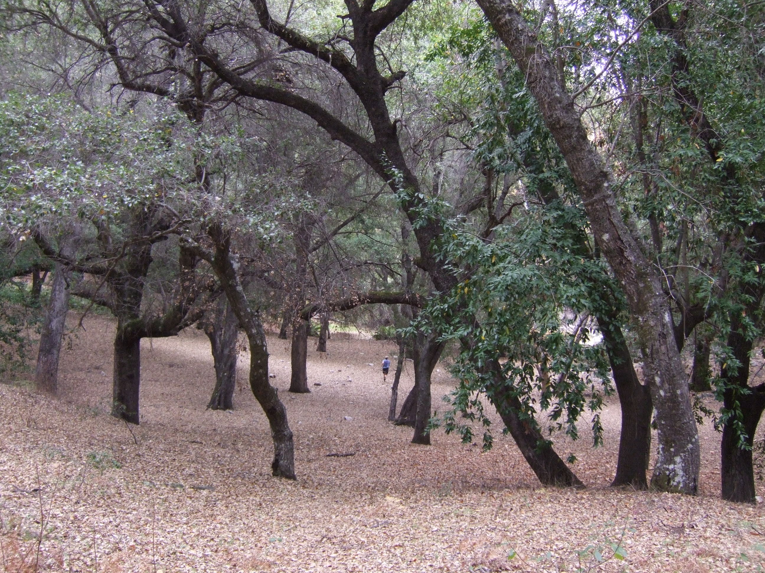 Bryan at the horse camp upper Willow Creek