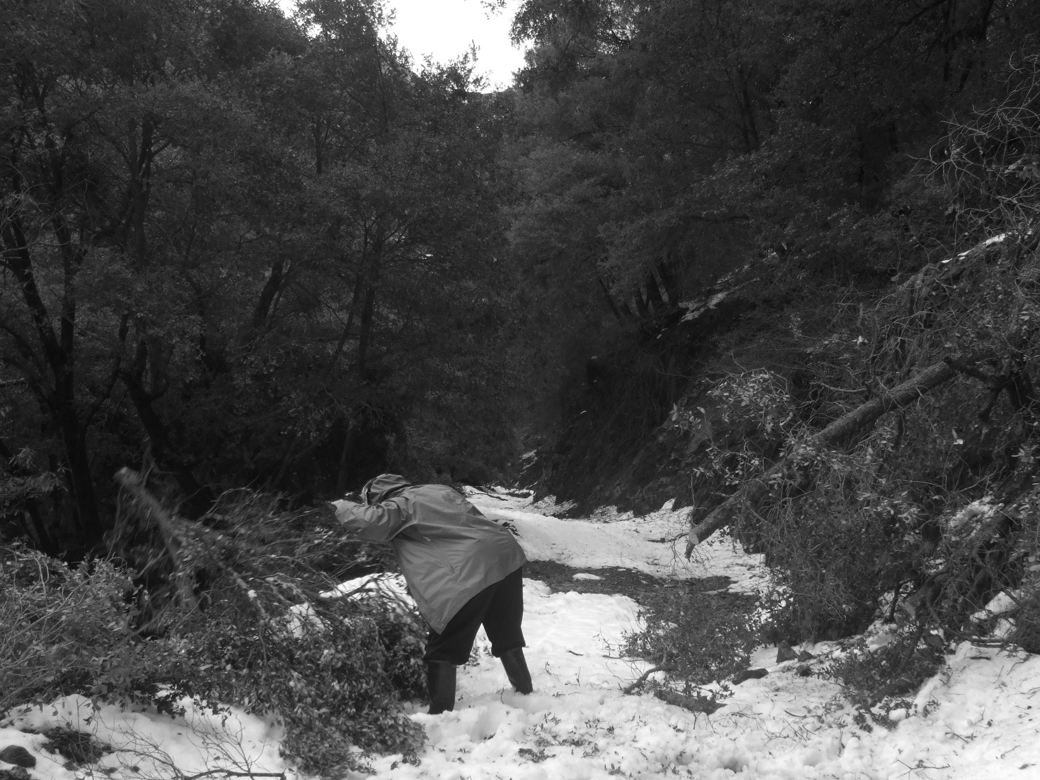 Driving the road day 1 Jordan chainsaws.jpg