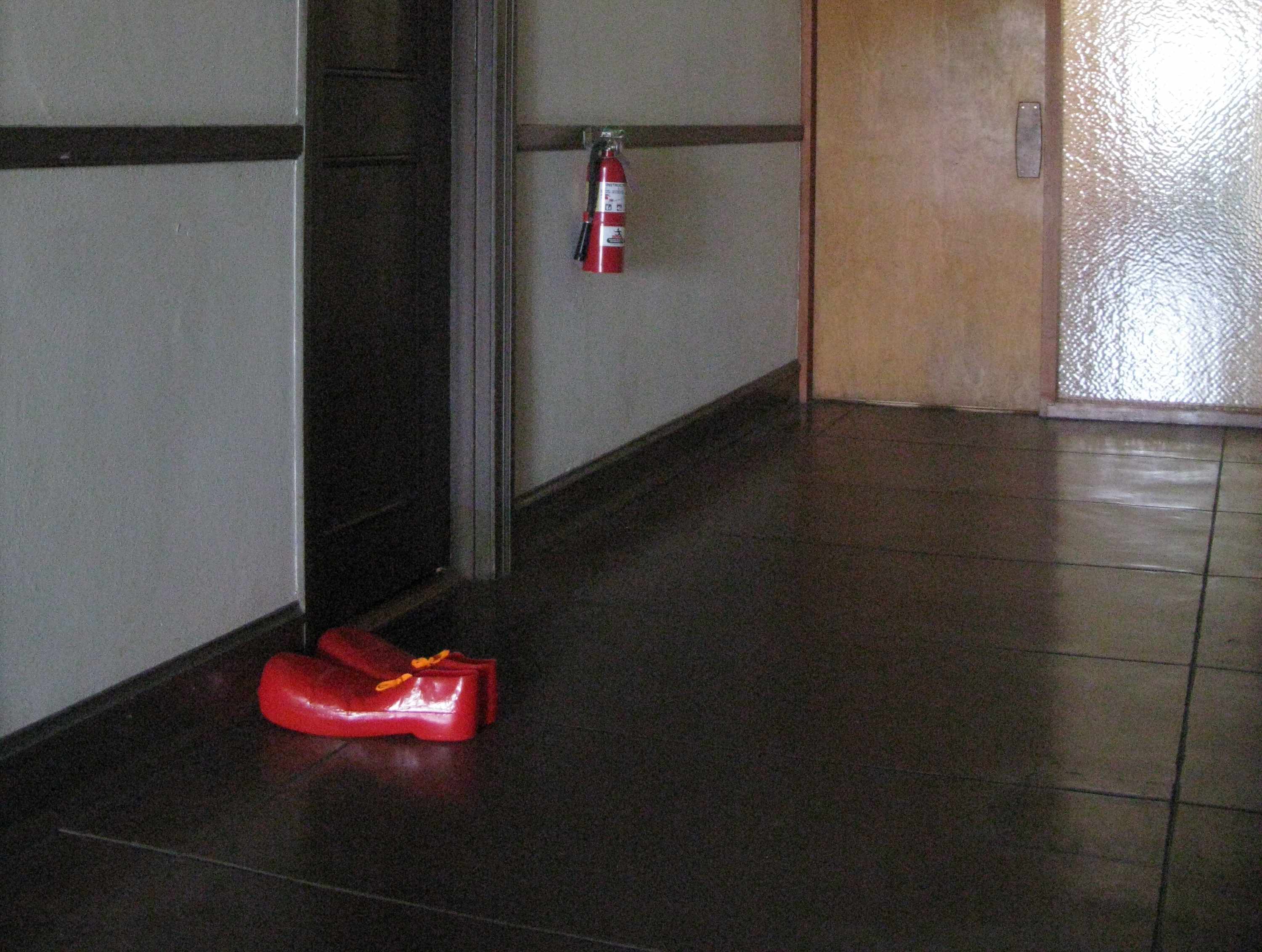 Clown shoes in the hallway.jpg