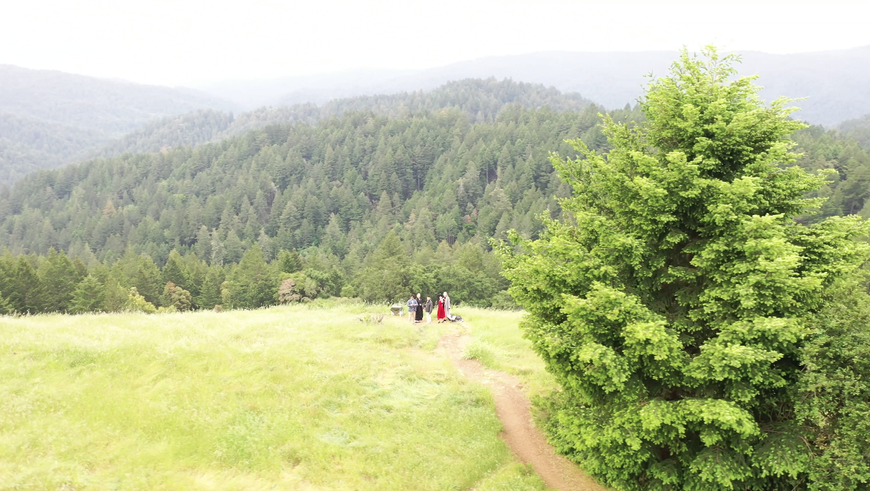 Screen Shot 2019-05-22 at 08.40.19