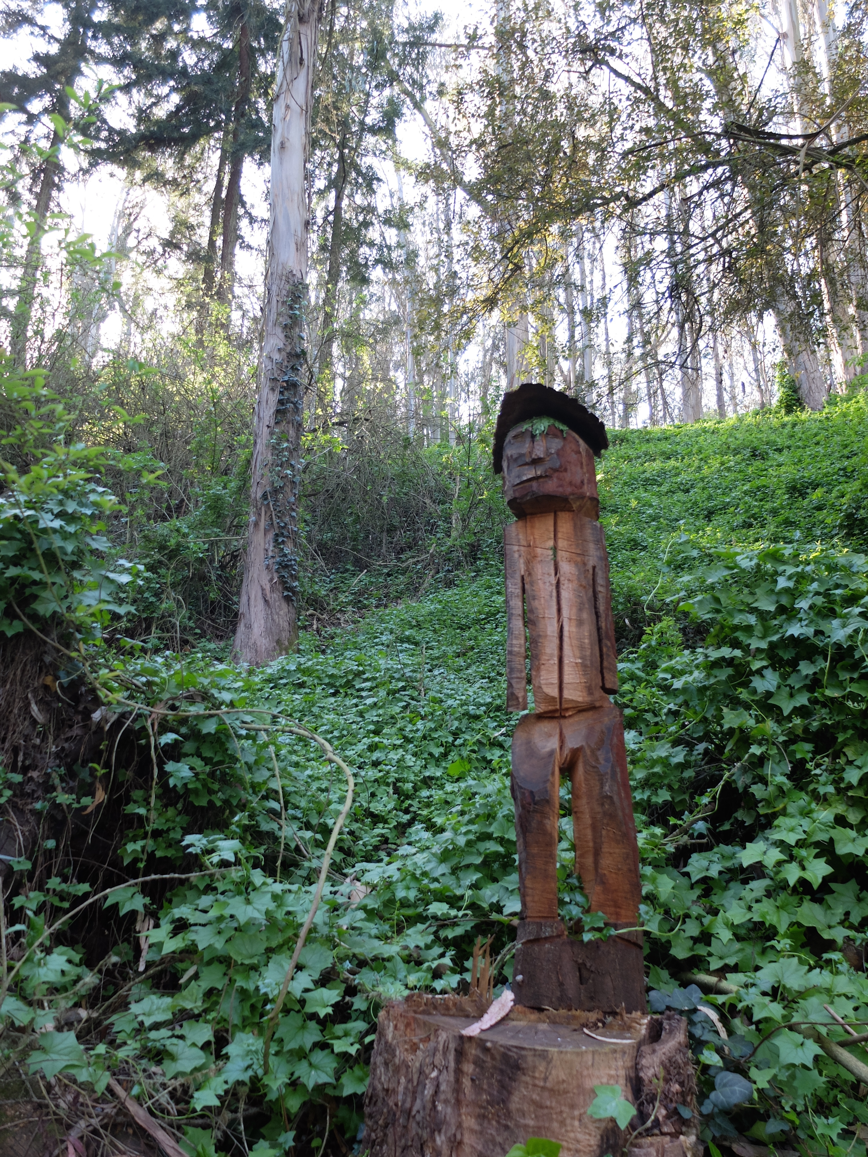 Mt Sutro woods statue.jpg