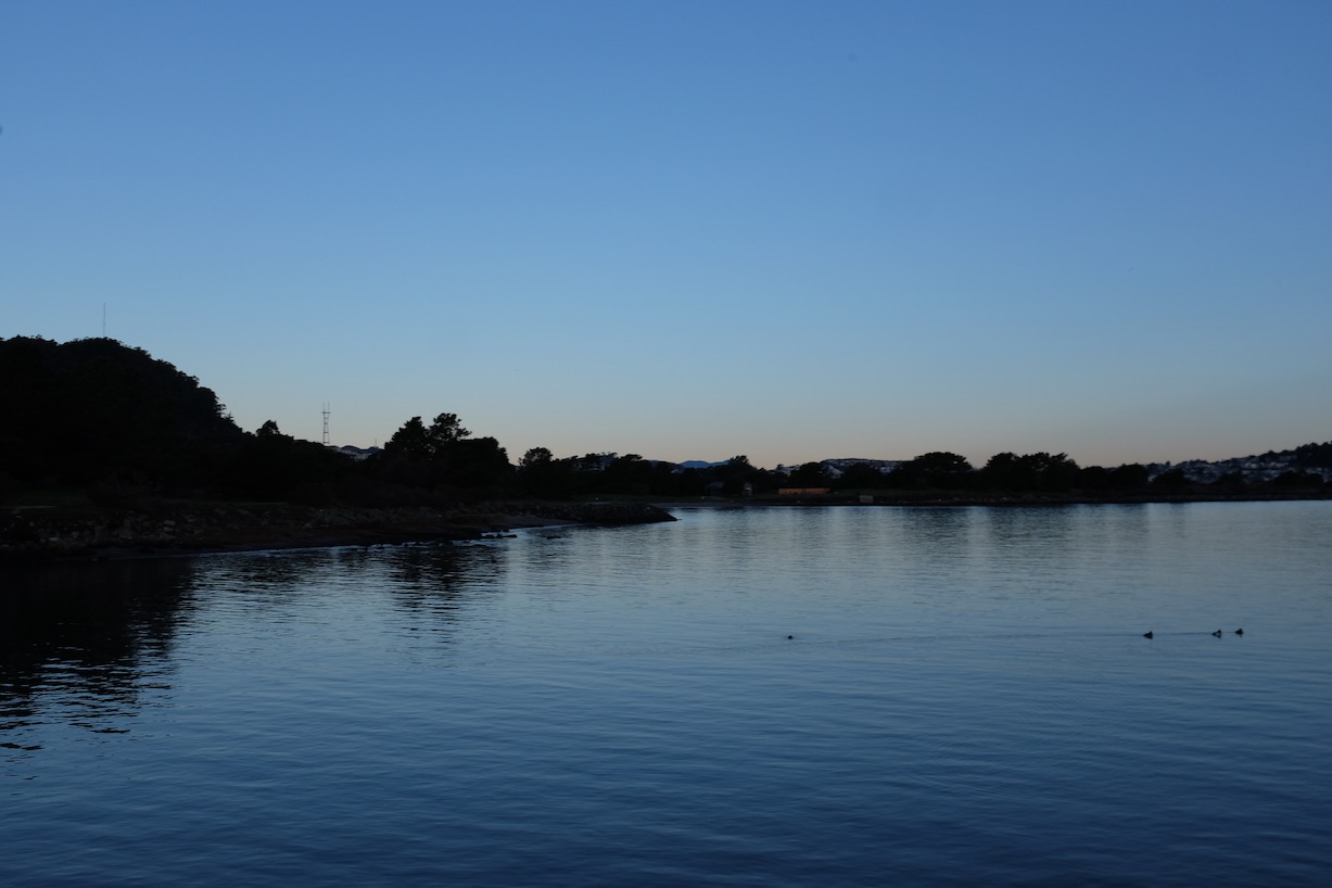 DSCF1505.jpg