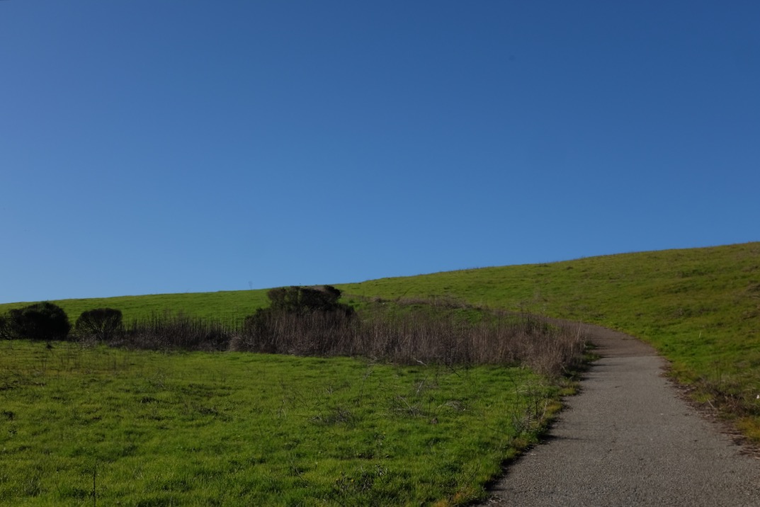 DSCF1528.jpg