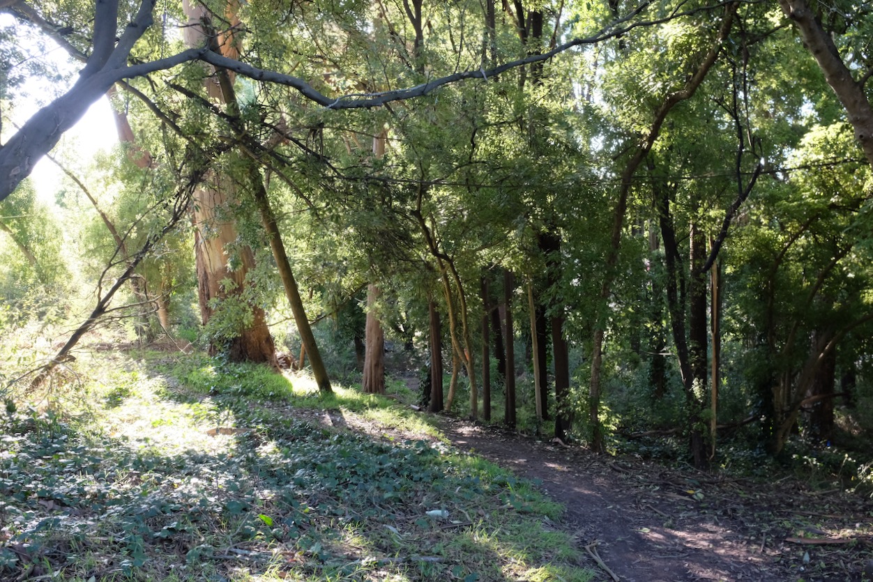 DSCF1595.jpg