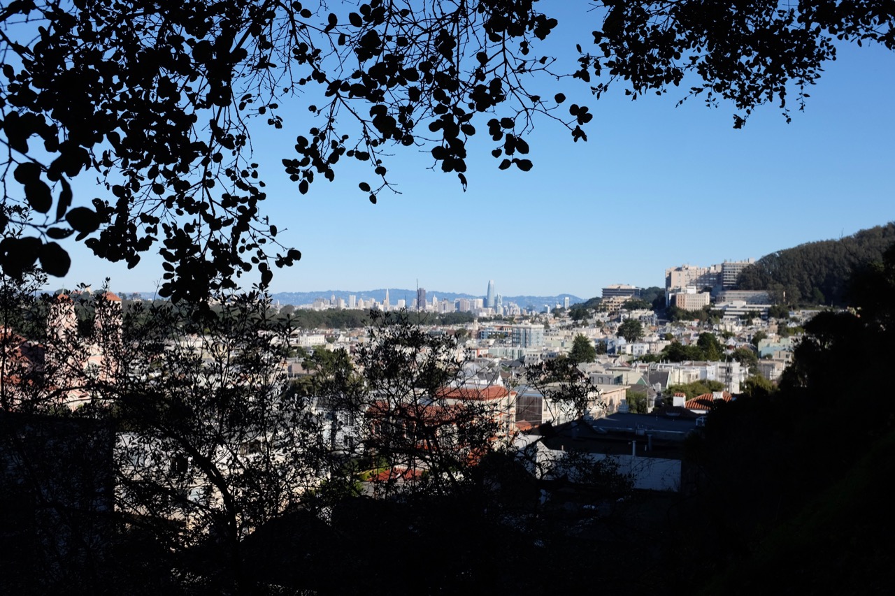 DSCF1640.jpg
