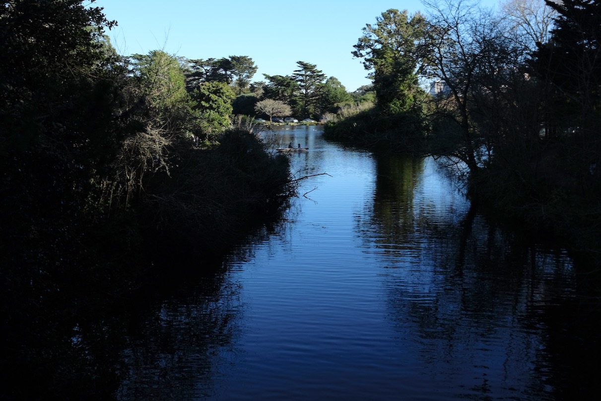 DSCF1654.jpg