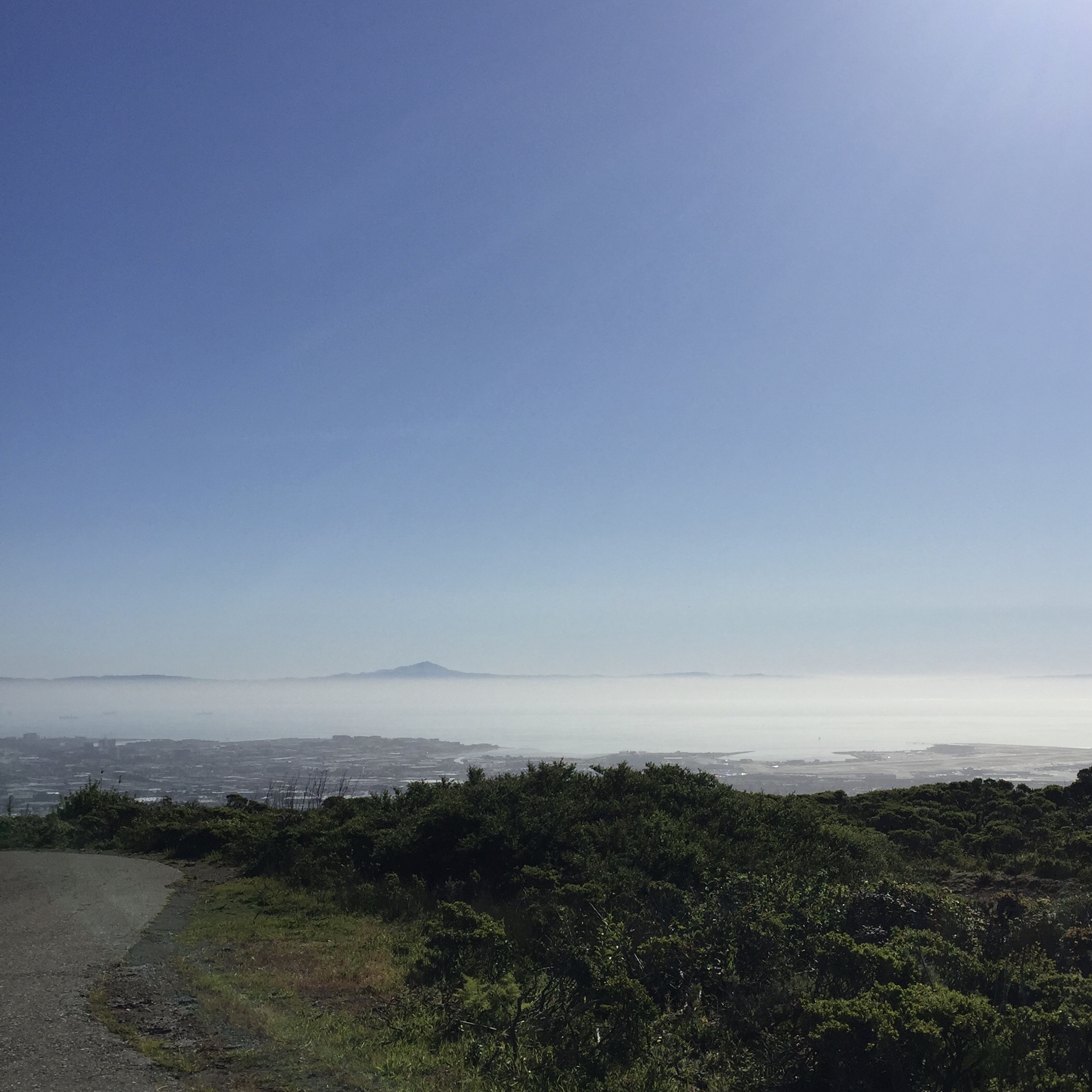 295F86D9-FCE3-477F-AB0E-ED126EB65CCF_1_201_a