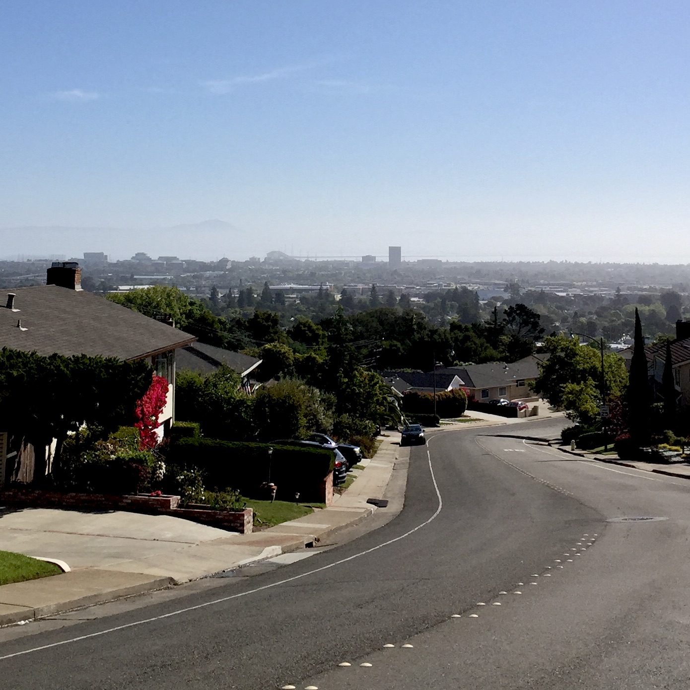 3C3A1252-5C6F-4582-926D-35F95CAB242D_1_201_a